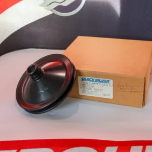 Poulie Pompe Direction Quicksilver 73873A1