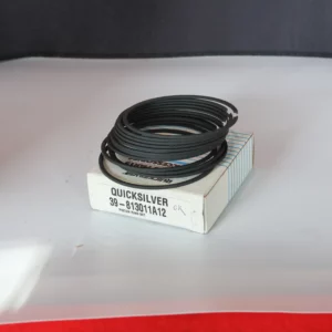 Segments de Piston Quicksilver 39-813011A12