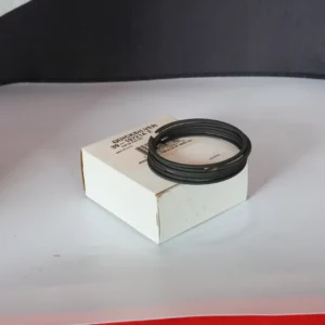 Segment de Piston Quicksilver 39-19721A2