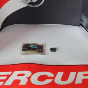 Joint d'étanchéité Seal Quicksilver 25-20273