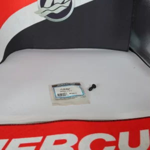 Pissette de Refroidissement Mercury 22-813613