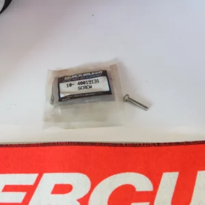 Vis d'origine Mercury 10-40019131