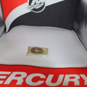 Écrou d'arbre de transmission Mercury 11-42633